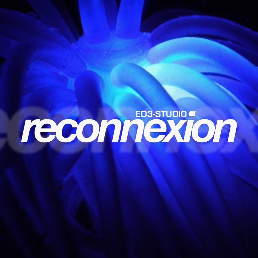 Album cover: Reconnexion by ED3-Studio